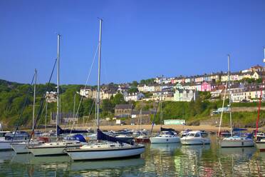 The Harbour at New Quay, Cardigan Bay, Wales, United Kingdom, Europe - RHPLF03498