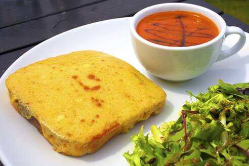 Welsh Rarebit, Cardigan Bay, Wales, Vereinigtes Königreich, Europa - RHPLF03499