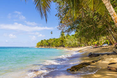 Strand Punta Uva in Puerto Viejo, Limon, Costa Rica, Mittelamerika - RHPLF03618