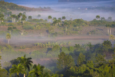 View of Vinales Valley, UNESCO World Heritage Site, Vinales, Pinar del Rio Province, Cuba, West Indies, Caribbean, Central America - RHPLF03673