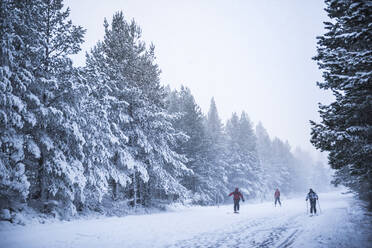 Skifahren am CairnGorm Mountain, Glenmore, Cairngorms National Park, Schottland, Vereinigtes Königreich, Europa - RHPLF03683