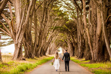 Couple in engagement dress, Marin, California, United States of America, North America - RHPLF03753