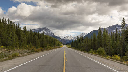 Icefields Parkway leading toward the Canadian Rocky Mountains, Jasper National Park, UNESCO World Heritage Site, Canadian Rockies, Alberta, Canada, North America - RHPLF03763