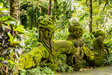 Heiliger Affenwald in Ubud, Bali, Indonesien, Südostasien, Asien - RHPLF03895