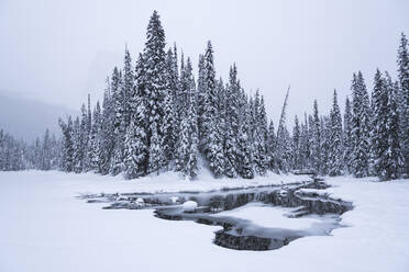 Schneebedeckter Winterwald mit zugefrorenem See, Emerald Lake, Yoho National Park, UNESCO Weltkulturerbe, British Columbia, The Rockies, Kanada, Nordamerika - RHPLF03899