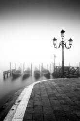 Schwarze und weiße Gondeln und Lampen im Nebel, Markusplatz, mit Canal Grande im Hintergrund, Venedig, UNESCO-Weltkulturerbe, Venetien, Italien, Europa - RHPLF03901