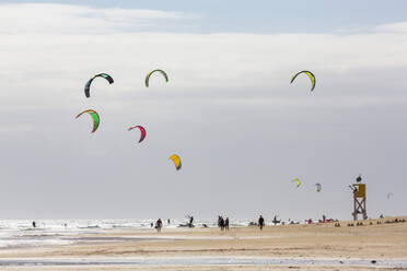 Viele Menschen beim Kiteboarden an der Playa de La Barca, Costa Calma, auf der Vulkaninsel Fuerteventura, Kanarische Inseln, Spanien, Atlantik, Europa - RHPLF03913