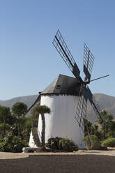 Windmühle im Museo del Queso Majorero bei Antigua auf Fuerteventura, Kanarische Inseln, Spanien, Atlantik, Europa - RHPLF03941