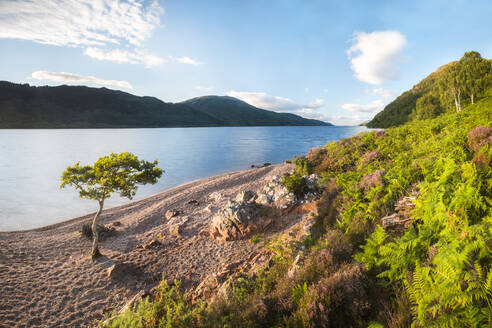 Kanufahrt auf dem Loch Ness-Abschnitt des Caledonian Canal, in der Nähe von Fort Augustus, Schottische Highlands, Schottland, Vereinigtes Königreich, Europa - RHPLF03968