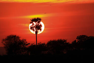 Sonnenuntergang, Bagan, Myanmar (Birma), Asien - RHPLF04057