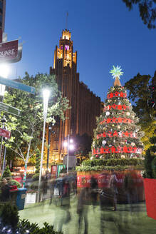 Weihnachtsbaum und Dekoration mit Manchester Unity Building am City Square, Melbourne, Victoria, Australien, Pazifik - RHPLF04087