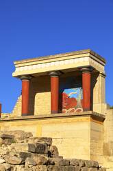 Stürmender Stier und Olivenbaum Fresko, Der minoische Palast von Knossos, Knossos, Heraklion, Kreta, Griechische Inseln, Griechenland, Europa - RHPLF04114