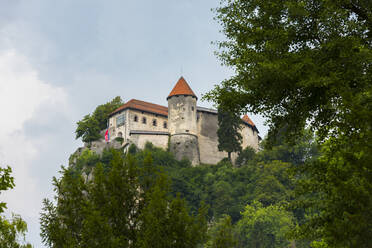 Schloss Bled, Bled, Slowenien, Europa - RHPLF04165