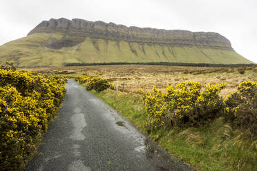 Benbulben, Dartry Mnts, Grafschaft Sligo, Connacht, Republik Irland, Europa - RHPLF04190