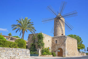 Windmühle in Sineu, Mallorca (Mallorca), Balearische Inseln, Spanien, Europa - RHPLF04222