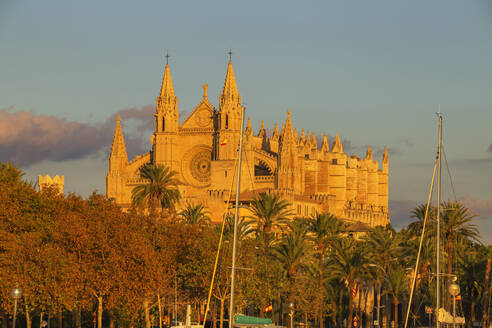 Kathedrale La Seu, Palma de Mallorca, Mallorca (Mallorca), Balearische Inseln, Spanien, Europa - RHPLF04233