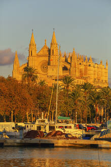 Kathedrale La Seu, Palma de Mallorca, Mallorca (Mallorca), Balearische Inseln, Spanien, Mittelmeer, Europa - RHPLF04234