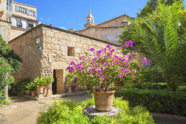 Arabischer Bädergarten, Palma de Mallorca, Mallorca (Mallorca), Balearen, Spanien, Europa - RHPLF04236