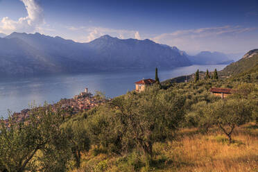 Ansicht des Castello Scaligero (Scaligerschloss), Malcesine, Gardasee, Veneto, Italienische Seen, Italien, Europa - RHPLF04253