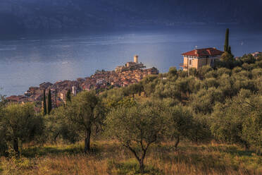 Ansicht des Castello Scaligero (Scaligerschloss), Malcesine, Gardasee, Veneto, Italienische Seen, Italien, Europa - RHPLF04254