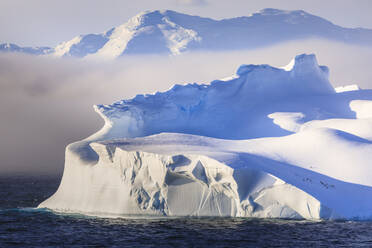 Pinguine auf einem riesigen nicht-tafelförmigen Eisberg, Berge, Abendlicht und Nebel, Bransfield Strait, South Shetland Islands, Antarktis, Polargebiete - RHPLF04303