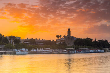 Torre del Oro (Gold Tower) at sunrise, Seville, Andalusia, Spain, Europe - RHPLF04316