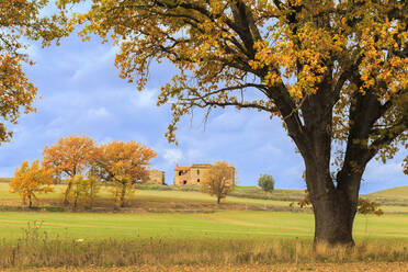 Abgelegenes Landhaus in der toskanischen Landschaft im Herbst, Asciano, Val d'Orcia, UNESCO-Weltkulturerbe, Provinz Siena, Toskana, Italien, Europa - RHPLF04355