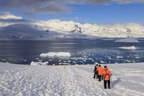 Expeditionsschiffspassagiere wandern über dem Meer, früher Morgen, sonniger Tag, Neko Harbour, Andvord Bay, Graham Land, Antarktis, Polarregionen - RHPLF04415
