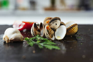 Close-up of clams and ingredients on kitchen counter - MAUF02765