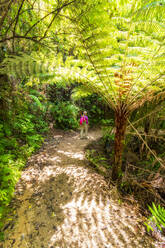 Rear view of mature woman walking at Abel Tasman Coastal Track, South Island, New Zealand - SMAF01350