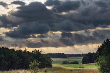 Blick auf eine Wolkenlandschaft über Bäumen auf einem Feld bei Sonnenuntergang, Polen - MJF02408
