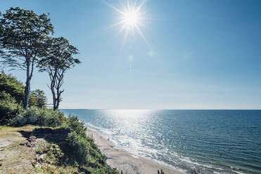 Bäume, die an der Küste am Meer gegen den Himmel an einem sonnigen Tag wachsen, Polen - MJF02414