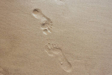 High angle view of footprints on wet sand at beach in Poland - MJF02417