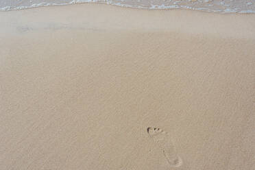 High angle view of footprint leading towards sea at beach, Poland - MJF02418
