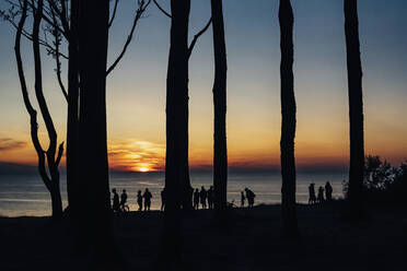 Silhouette Menschen und Bäume am Meer gegen den Himmel bei Sonnenuntergang, Polen - MJF02424