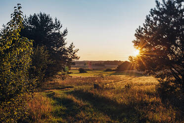 Landschaftliche Ansicht von Bäumen, die auf einem Feld wachsen, gegen den Himmel bei Sonnenuntergang in Polen - MJF02427