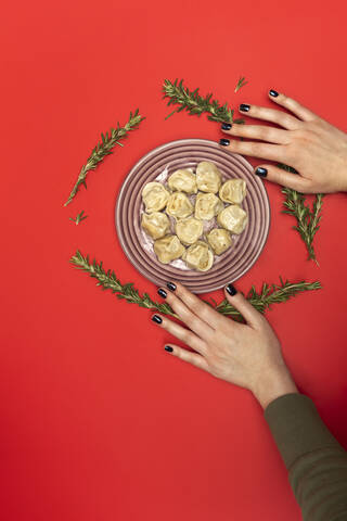 Hand mit Teller mit Pelmeni, lizenzfreies Stockfoto