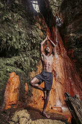 Mann übt Yoga am Wasserfall, Baumstellung - LJF00715