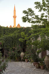Potted plants outside houses against tower in Göreme city, Cappadocia - KNTF03102