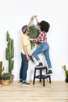 Paar hängt Pflanze an die Wand zu Hause - RTBF01339