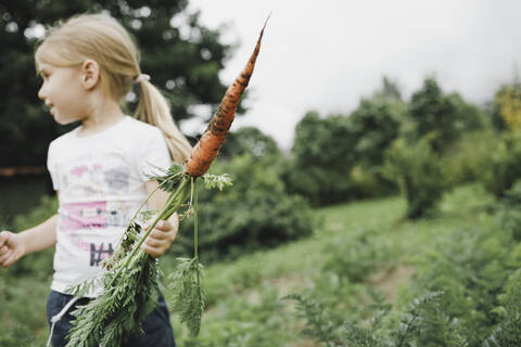 Kleines Mädchen hält Karotte im Garten, lizenzfreies Stockfoto