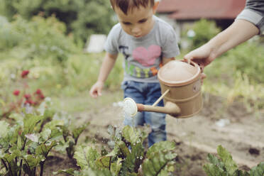 Mother with toddler watering vegetable in garden - KMKF01031