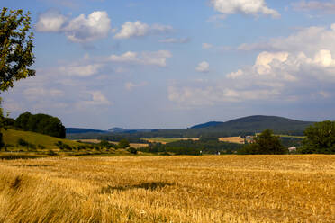 Landschaftliche Ansicht eines landwirtschaftlichen Feldes in Deutschland, Kappadokien - JTF01283