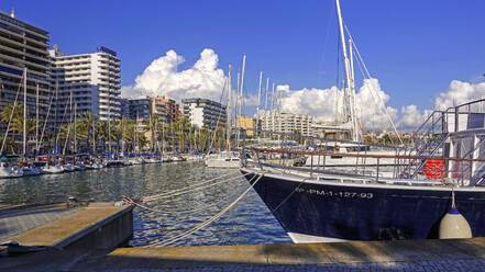 Yachthafen von Palma de Mallorca, Mallorca, Balearische Inseln, Spanien, Mittelmeer, Europa - RHPLF04549