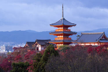 Kiyomizu-dera temple, UNESCO World Heritage Site, Kyoto, Honshu, Japan, Asia - RHPLF04587