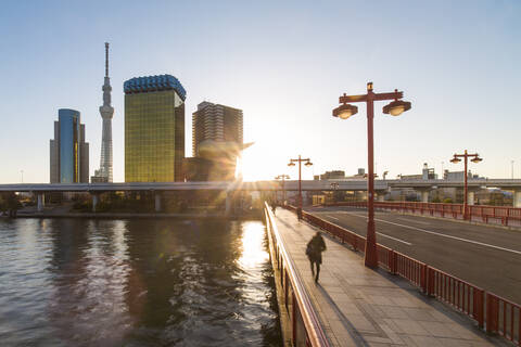 Skyline der Stadt und der Skytree auf dem Sumida-Fluss in der Morgendämmerung, Tokio, Japan, Asien, lizenzfreies Stockfoto