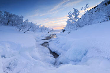 Sonnenaufgang auf dem zugefrorenen Fluss und Wald, Abisko, Gemeinde Kiruna, Landkreis Norrbotten, Lappland, Schweden, Skandinavien, Europa - RHPLF04703