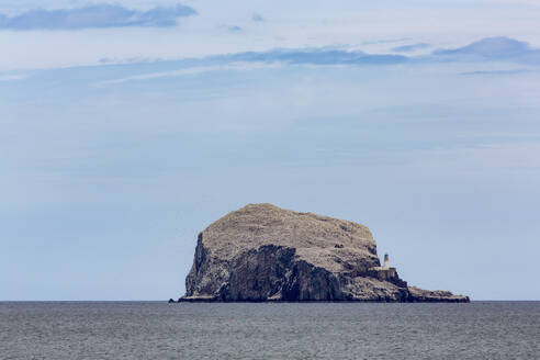 Bass Rock, eine winzige unbewohnte Insel im Firth of Forth, Heimat einer großen Kolonie von Basstölpeln, East Lothian, Schottland, Vereinigtes Königreich, Europa - RHPLF04754