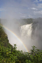 Ein Regenbogen in der Gischt des Victoria-Wasserfalls (Mosi-oa-Tunya), UNESCO-Weltkulturerbe, an der Grenze zwischen Simbabwe und Sambia, Afrika - RHPLF04765