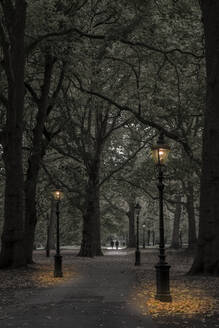 Green Park in der Abenddämmerung, Westminster, London, England, Vereinigtes Königreich, Europa - RHPLF04768